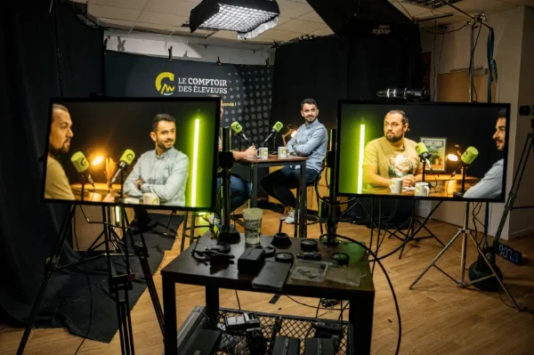 studio_harmonise_07.png
