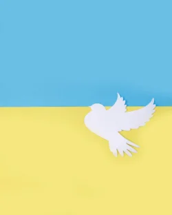 Top 6 des tweets auvergnats – Mai 2021