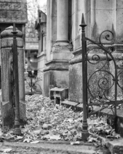 Le cimetière des Carmes rejoint le mouvement du tri sélectif !