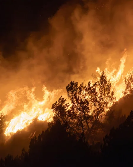 Incendies dans le Cantal : plus de 40 hectares détruits, un pompier hospitalisé en soins intensifs