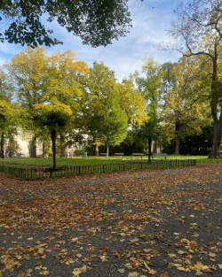 Top 10 des parcs à Clermont en 2026