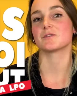 [ DIS MOI TOUT ] La chasse des oiseaux en voie de disparition