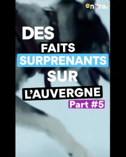 DES FAITS SURPRENANTS SUR L’AUVERGNE #5 | BALADE EN CHIEN DE TRAINEAU EN AUVERGNE
