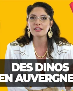 [ DIS MOI TOUT ] DES DINOS EN AUVERGNE ?