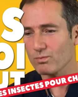 [ DIS MOI TOUT ] Les croquettes faites avec des insectes