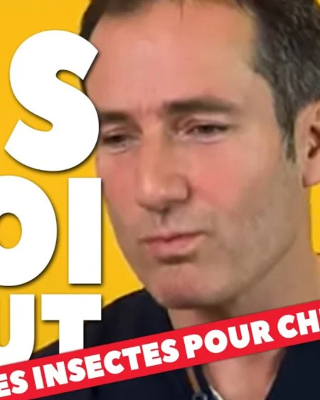 [ DIS MOI TOUT ] Les croquettes faites avec des insectes