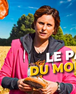 De la Terre à l'assiette #2 : Le pain local, du moulin au four !