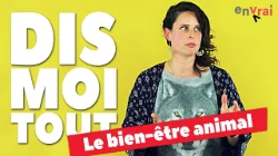 [ DIS MOI TOUT ] sur le bien-être animal en Auvergne